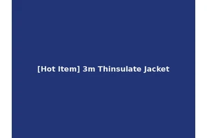 [Hot Item] 3m Thinsulate Jacket