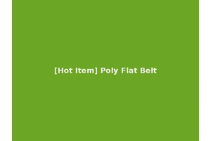 [Hot Item] Poly Flat Belt