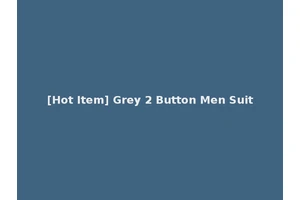 [Hot Item] Grey 2 Button Men Suit
