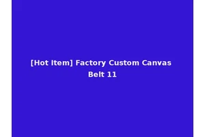 [Hot Item] Factory Custom Canvas Belt 11