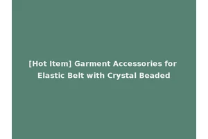 [Hot Item] Garment Accessories for Elastic Belt with Crystal Beaded