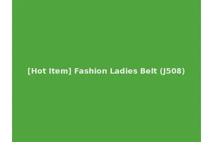 [Hot Item] Fashion Ladies Belt (J508)