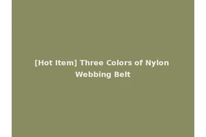 [Hot Item] Three Colors of Nylon Webbing Belt