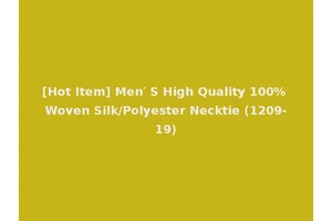 [Hot Item] Men′ S High Quality 100% Woven Silk/Polyester Necktie (1209-19)