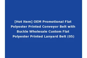 [Hot Item] OEM Promotional Flat Polyester Printed Conveyor Belt with Buckle Wholesale Custom Flat Polyester Printed Lanyard Belt (05)