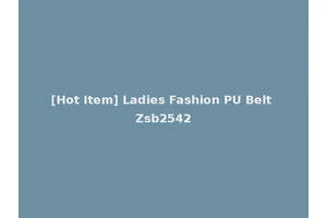 [Hot Item] Ladies Fashion PU Belt Zsb2542