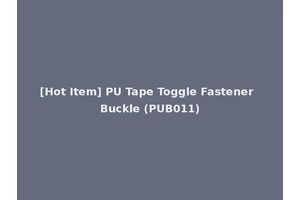 [Hot Item] PU Tape Toggle Fastener Buckle (PUB011)