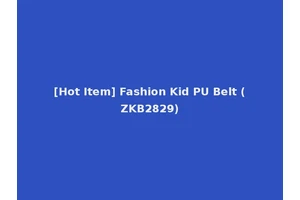 [Hot Item] Fashion Kid PU Belt (ZKB2829)