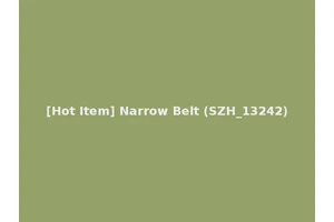 [Hot Item] Narrow Belt (SZH_13242)