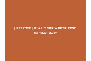 [Hot Item] BSCI Mens Winter Vest Padded Vest