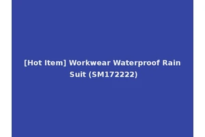 [Hot Item] Workwear Waterproof Rain Suit (SM172222)
