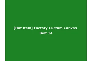 [Hot Item] Factory Custom Canvas Belt 14