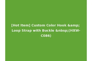 [Hot Item] Custom Color Hook &amp; Loop Strap with Buckle &nbsp;(HXW-C086)