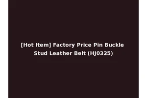[Hot Item] Factory Price Pin Buckle Stud Leather Belt (HJ0325)