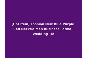 [Hot Item] Fashion New Blue Purple Red Necktie Men Business Formal Wedding Tie