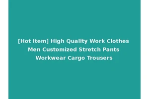 [Hot Item] High Quality Work Clothes Men Customized Stretch Pants Workwear Cargo Trousers