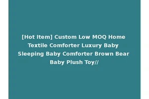 [Hot Item] Custom Low MOQ Home Textile Comforter Luxury Baby Sleeping Baby Comforter Brown Bear Baby Plush Toy//