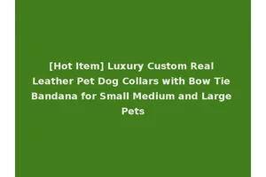 [Hot Item] Luxury Custom Real Leather Pet Dog Collars with Bow Tie Bandana for Small Medium and Large Pets