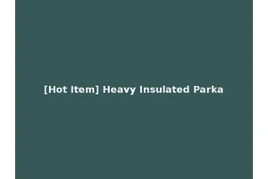 [Hot Item] Heavy Insulated Parka