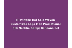 [Hot Item] Hot Sale Woven Customized Logo Men Promotional Silk Necktie &amp; Bandana Set