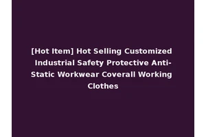 [Hot Item] Hot Selling Customized Industrial Safety Protective Anti-Static Workwear Coverall Working Clothes
