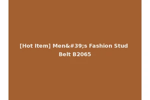 [Hot Item] Men's Fashion Stud Belt B2065