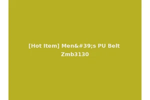 [Hot Item] Men's PU Belt Zmb3130
