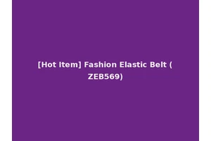 [Hot Item] Fashion Elastic Belt (ZEB569)
