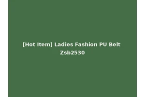 [Hot Item] Ladies Fashion PU Belt Zsb2530