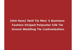 [Hot Item] Twill Tie Men′ S Business Fashion Striped Polyester Silk Tie Groom Wedding Tie Customization