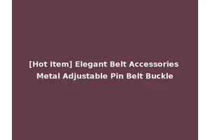 [Hot Item] Elegant Belt Accessories Metal Adjustable Pin Belt Buckle