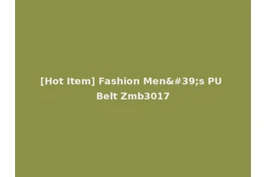 [Hot Item] Fashion Men's PU Belt Zmb3017