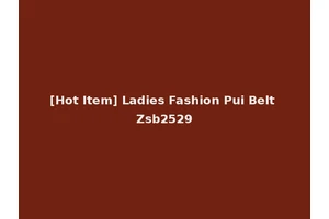[Hot Item] Ladies Fashion Pui Belt Zsb2529
