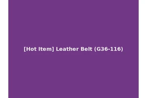 [Hot Item] Leather Belt (G36-116)