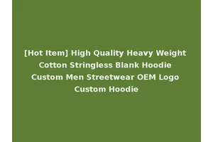 [Hot Item] High Quality Heavy Weight Cotton Stringless Blank Hoodie Custom Men Streetwear OEM Logo Custom Hoodie