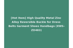 [Hot Item] High Quality Metal Zinc Alloy Reversible Buckle for Dress Belts Garment Shoes Handbags (XWS-ZD483)