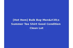 [Hot Item] Bulk Buy Men's Summer Tee Shirt Good Condition Clean Lot