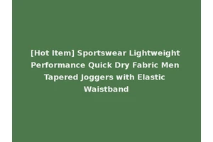 [Hot Item] Sportswear Lightweight Performance Quick Dry Fabric Men Tapered Joggers with Elastic Waistband