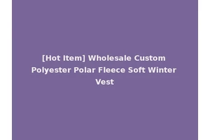 [Hot Item] Wholesale Custom Polyester Polar Fleece Soft Winter Vest