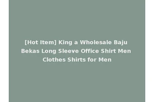 [Hot Item] King a Wholesale Baju Bekas Long Sleeve Office Shirt Men Clothes Shirts for Men