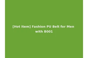 [Hot Item] Fashion PU Belt for Men with B001
