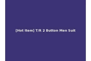 [Hot Item] T/R 2 Button Men Suit