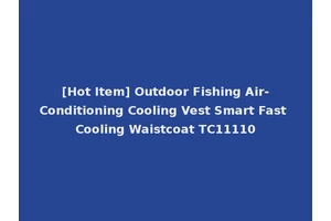 [Hot Item] Outdoor Fishing Air-Conditioning Cooling Vest Smart Fast Cooling Waistcoat TC11110