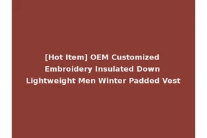 [Hot Item] OEM Customized Embroidery Insulated Down Lightweight Men Winter Padded Vest