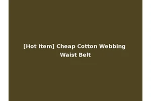 [Hot Item] Cheap Cotton Webbing Waist Belt