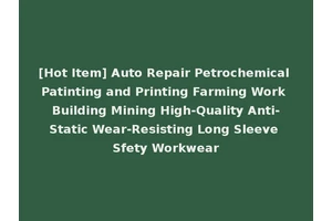 [Hot Item] Auto Repair Petrochemical Patinting and Printing Farming Work Building Mining High-Quality Anti-Static Wear-Resisting Long Sleeve Sfety Workwear