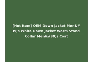 [Hot Item] OEM Down Jacket Men's White Down Jacket Warm Stand Collar Men's Coat