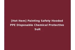 [Hot Item] Painting Safety Hooded PPE Disposable Chemical Protective Suit
