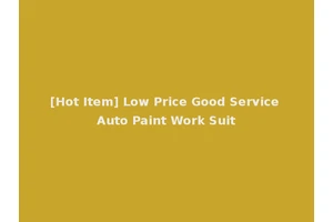 [Hot Item] Low Price Good Service Auto Paint Work Suit