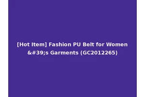 [Hot Item] Fashion PU Belt for Women's Garments (GC2012265)